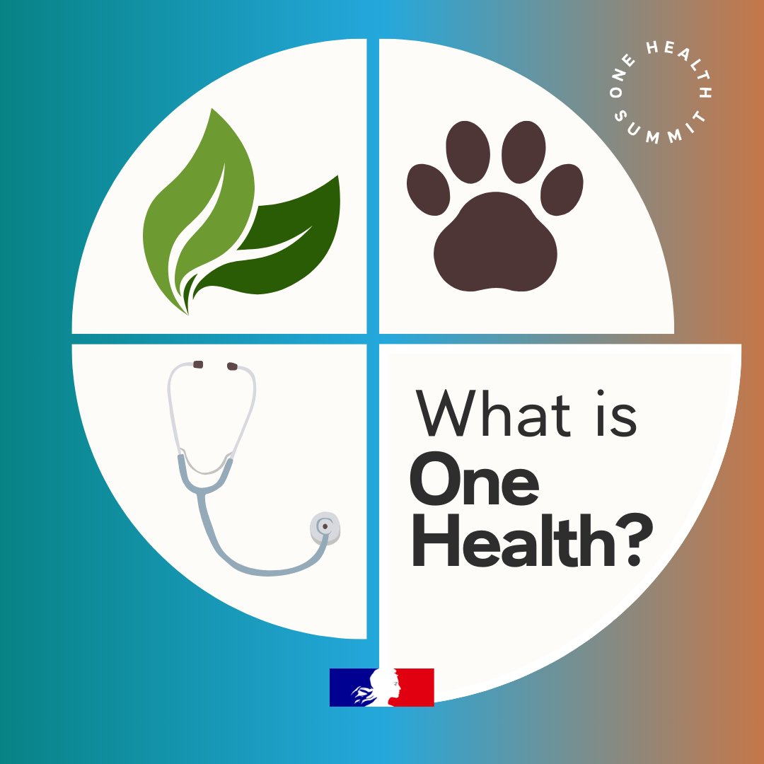 La France en Pologne 🇫🇷🇪🇺 tweet media