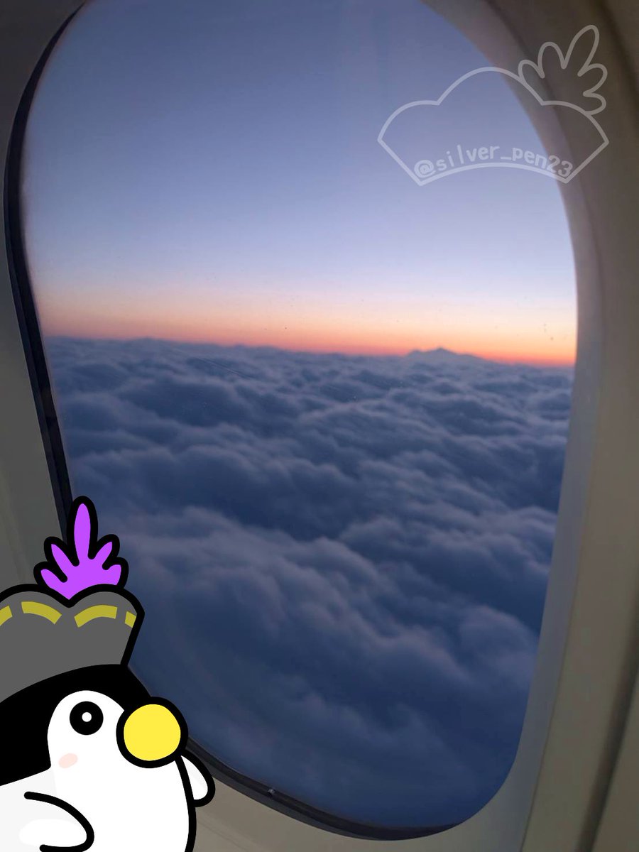 シルバーくん tweet media