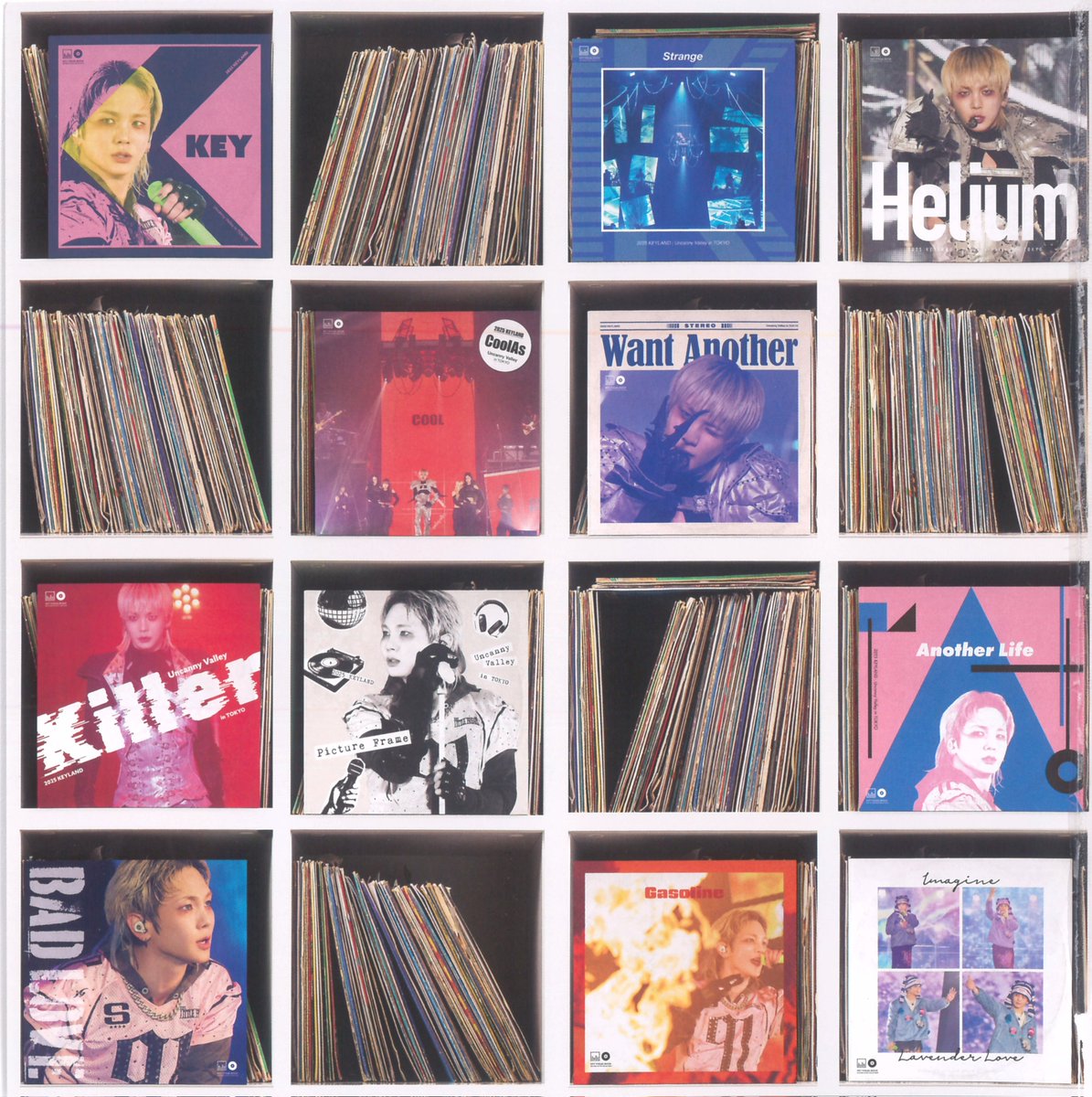 꿀풀🪻 tweet media