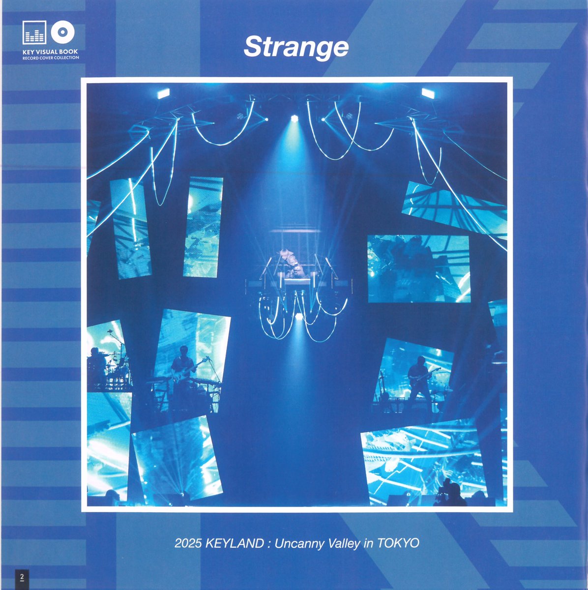 꿀풀🪻 tweet media