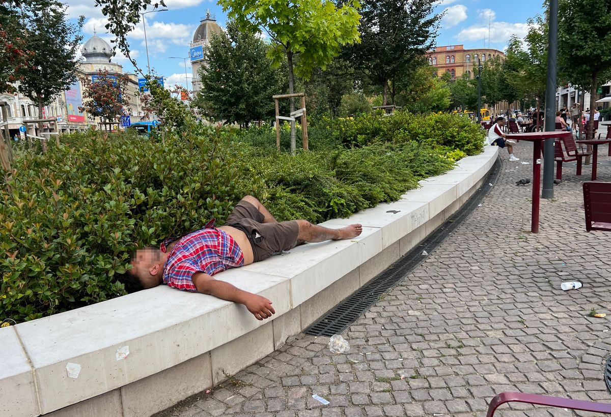 TheHungarianLad 🇭🇺 tweet media