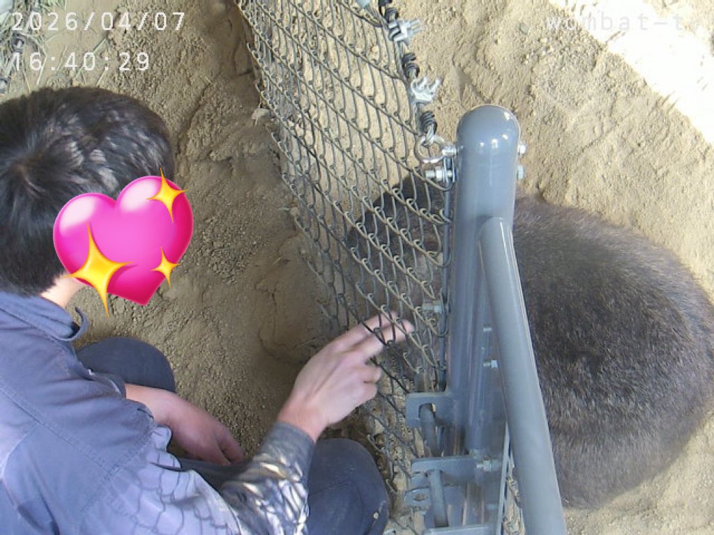 おとうふ tweet media