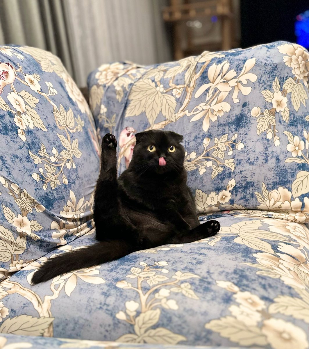 ふわも tweet media