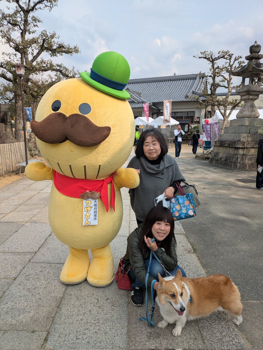 azuzuru's tweet photo. 2026年あずきお花見☆
3月末水間公園→水間寺お花見🥰
公園で桜見ながらのんびりおやつ休憩😚
水間寺に移動☆お寺内ではイベントが😳！つげさんとパチリ😊あずきはよそ見してますがイベントスタッフさんがこっちだよーってカメラマンしてくれました🤩スタッフさんありがと🤗楽しい時間過ごせました🥰 https://t.co/loiqthGWbo