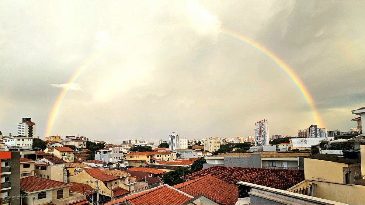 leandropexe's tweet photo. E esse lindo presente depois de uma chuvinha gostosa aqui na Vila Isolina Mazzei, na ZN? Bom dia, pessoal! #BDSP https://t.co/0b3pOWnNPV