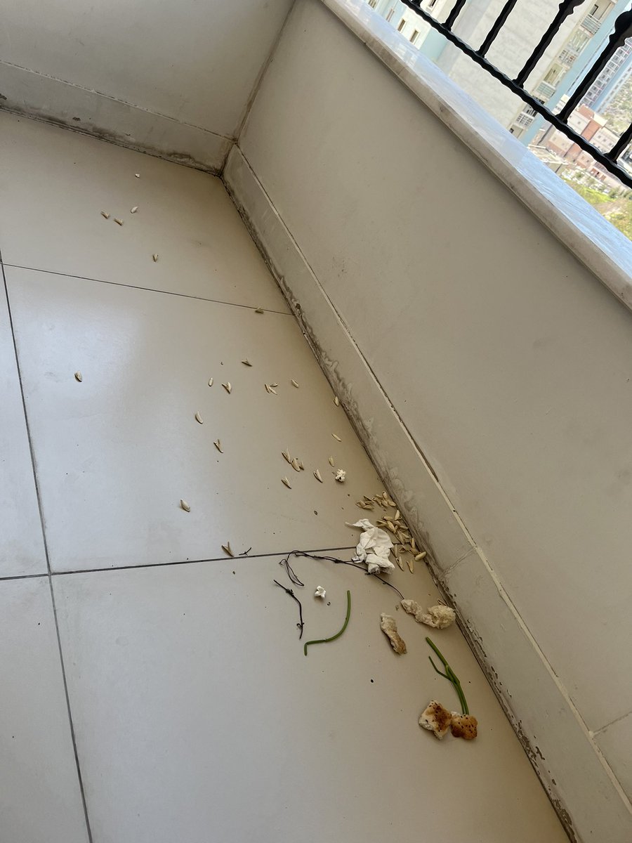 Melis ✨ tweet media