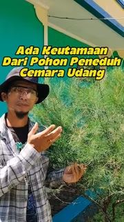 Bukit Farming tweet media