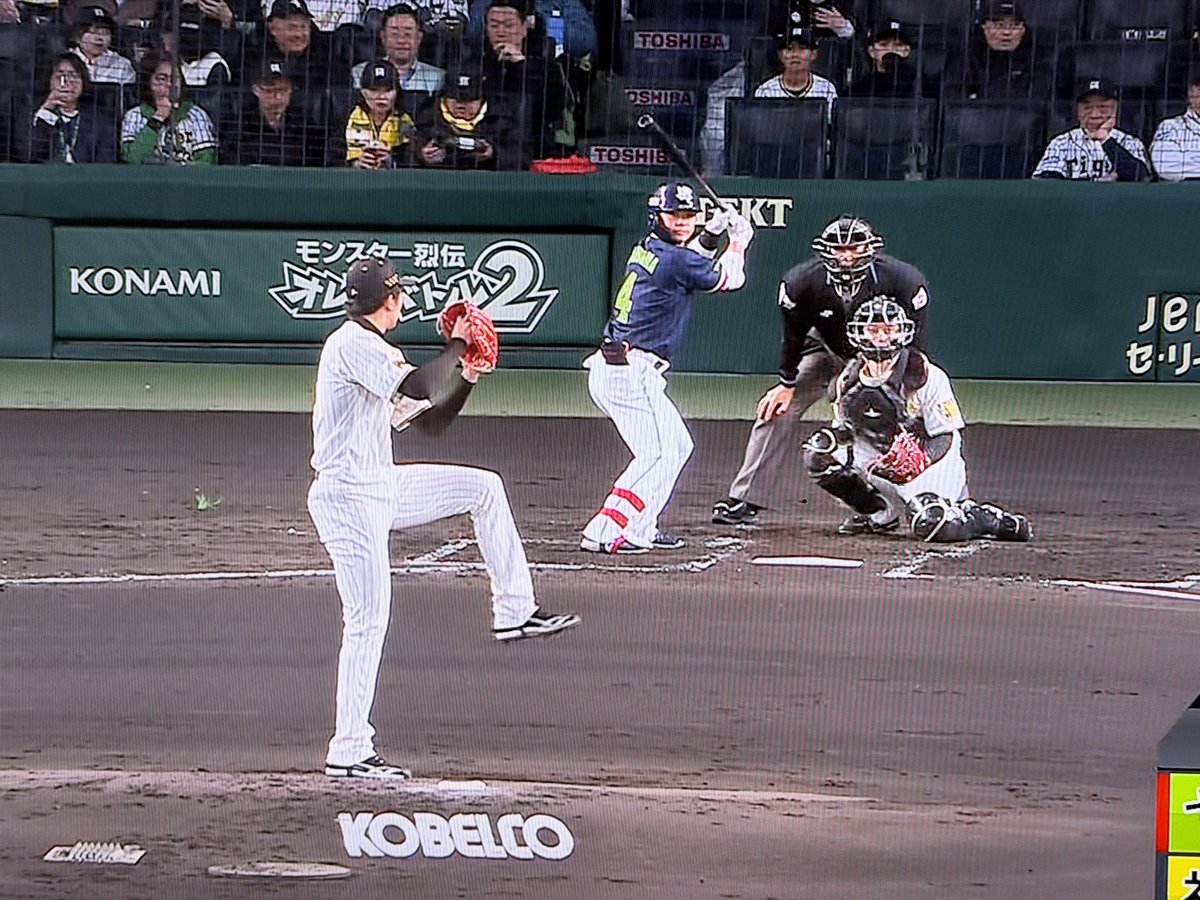 佐野みどり tweet media