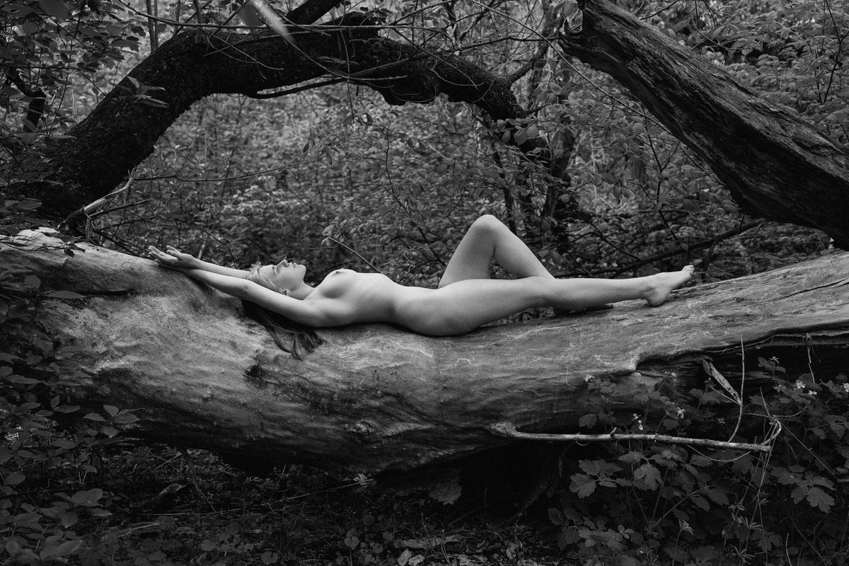 Serhii Kovbasyuk🇺🇦 tweet media