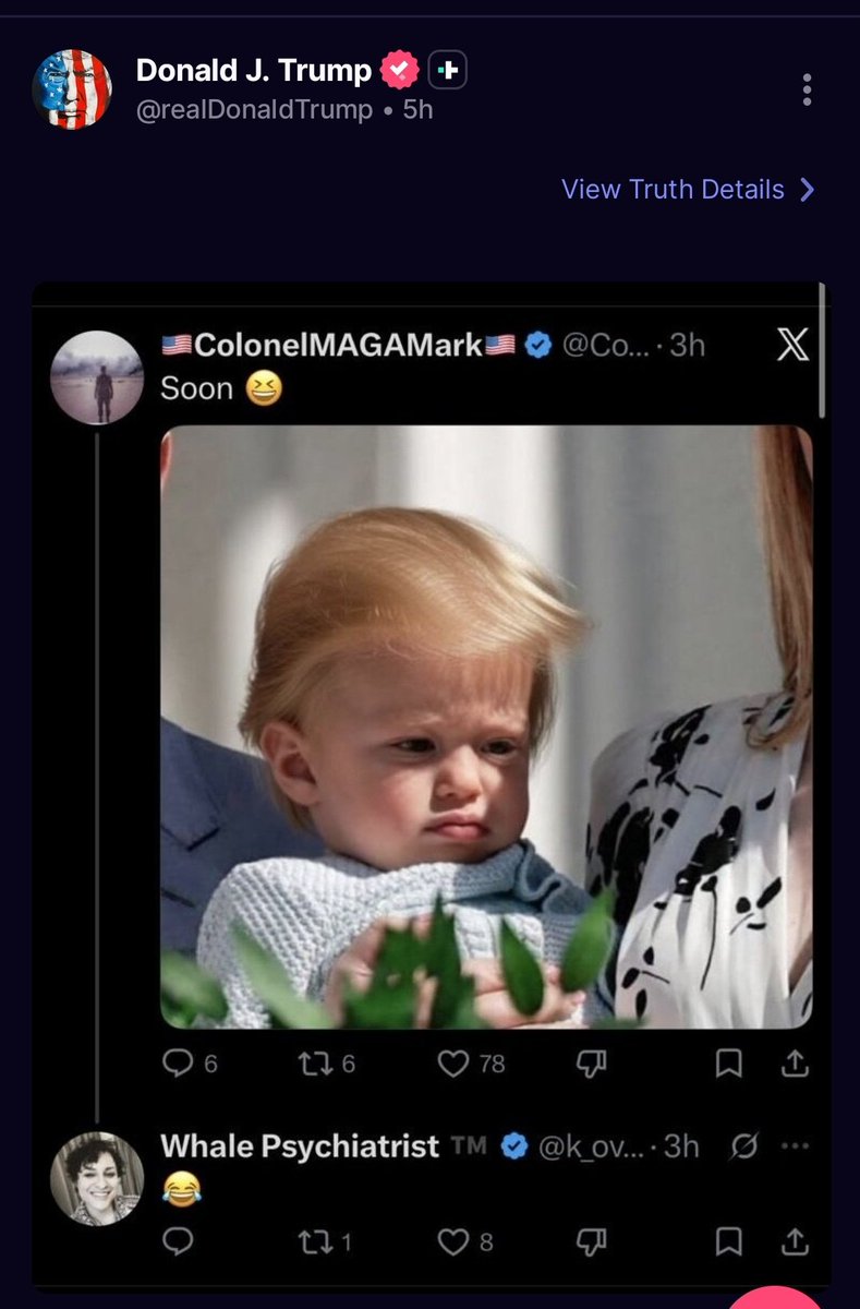 Whale Psychiatrist ™️ tweet media