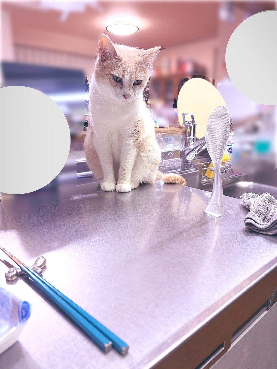 無糖レモン🍋酒飲み育児 tweet media