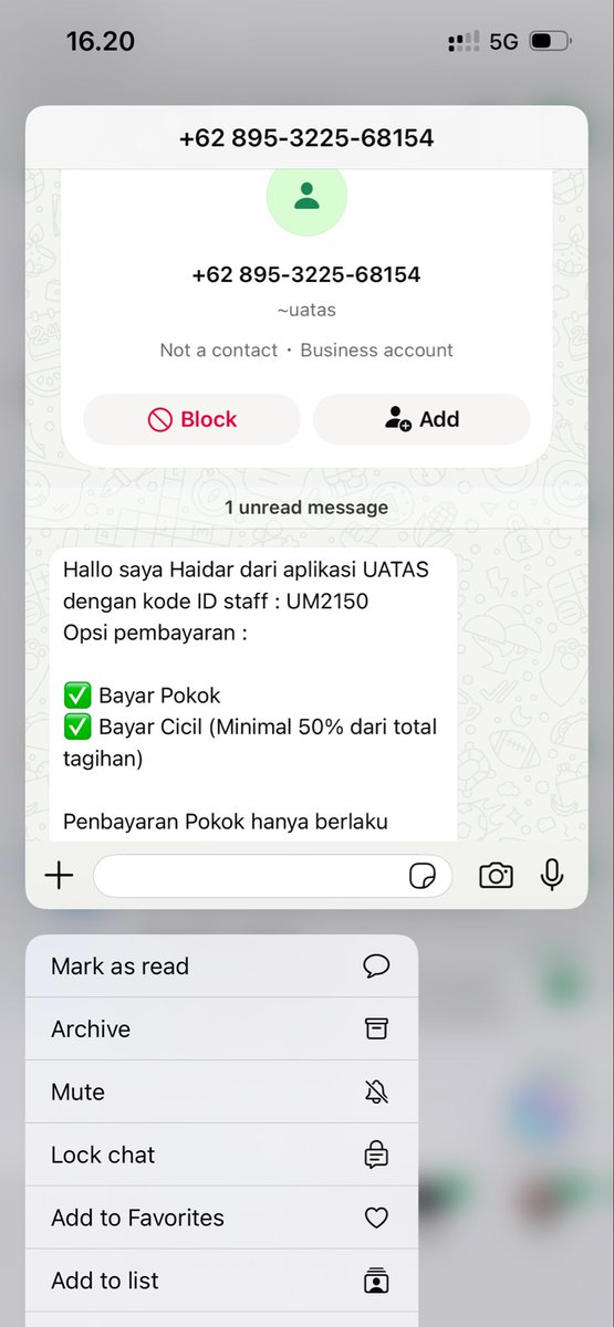 kalima, hi!🪽 tweet media