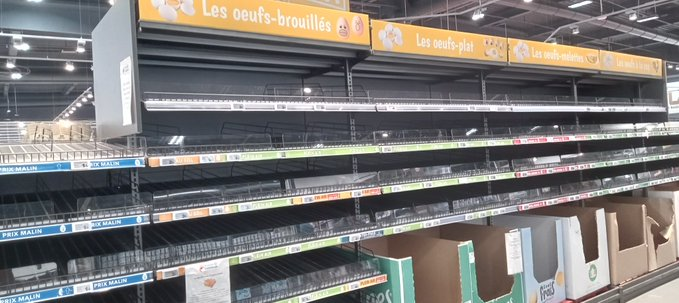 Xavier De La Croix tweet media