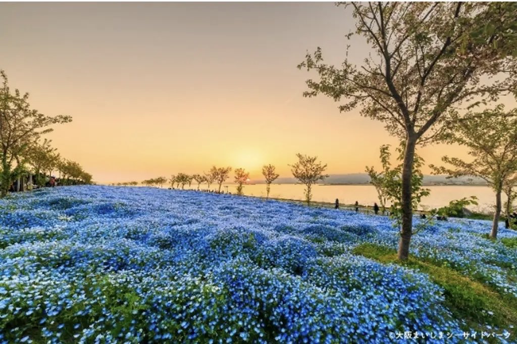 極上の旅図鑑 tweet media