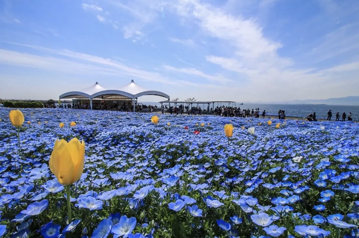 極上の旅図鑑 tweet media