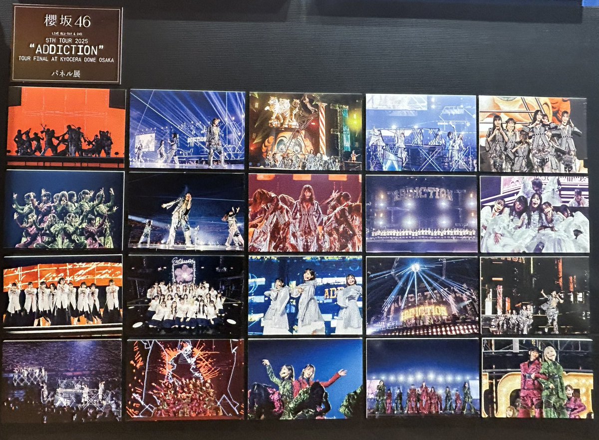 ひなさく tweet media