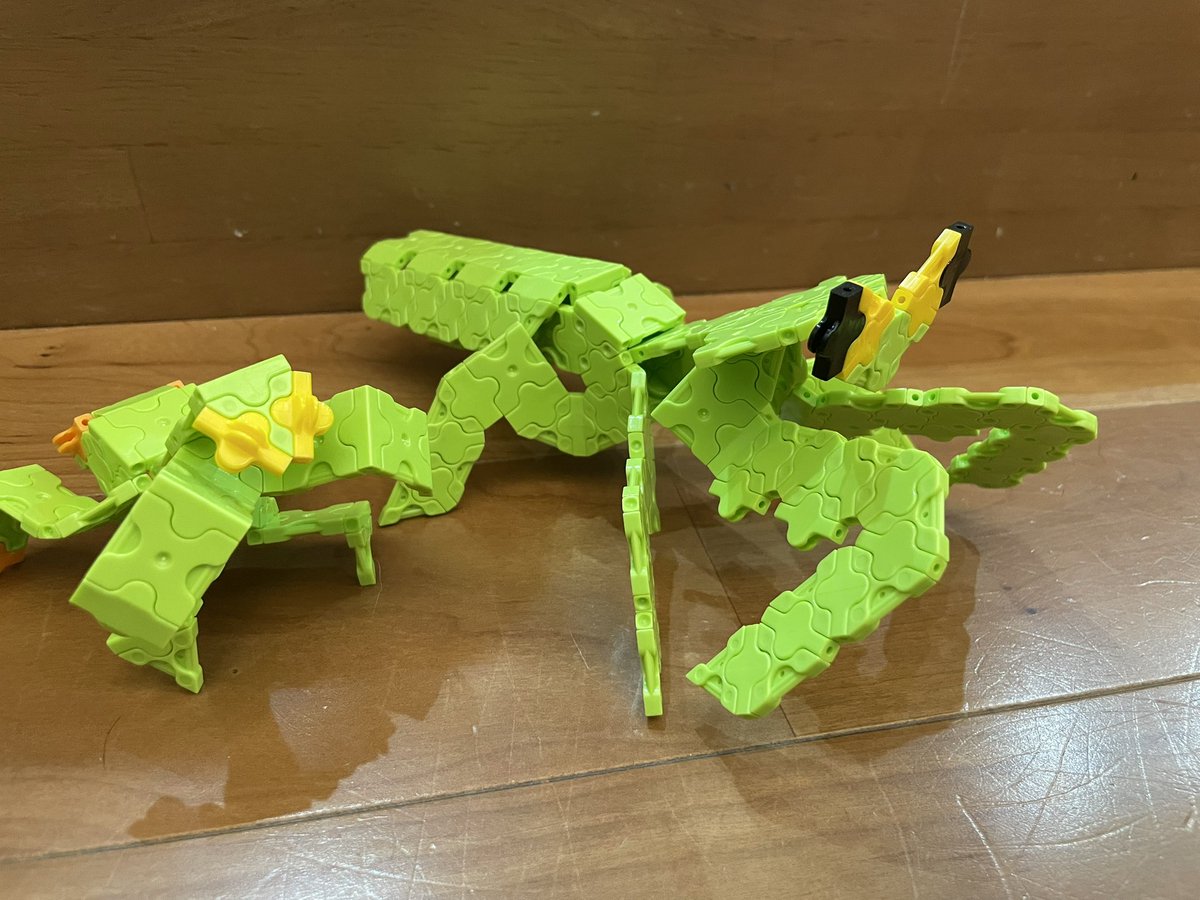 disdard171's tweet photo. 大好きなカマキリを作ったみたい😁
#LAQ https://t.co/pbfBhe8Lg5