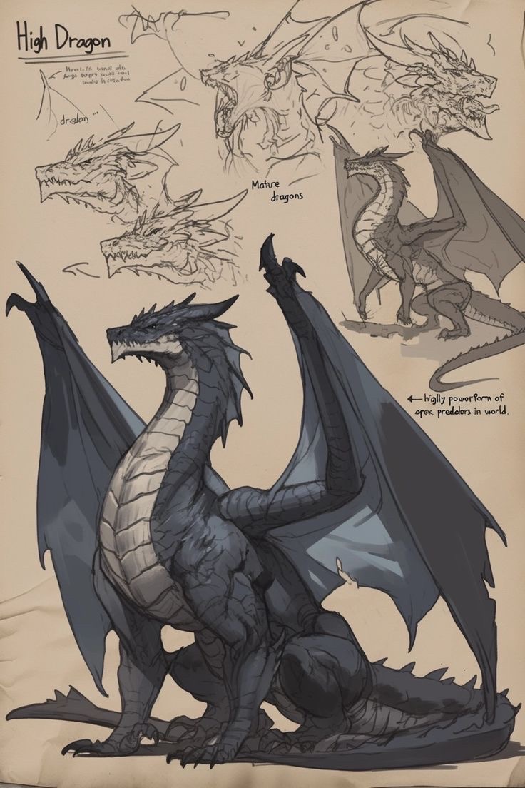 This dragon if I could choose I would stay with him, very imposing