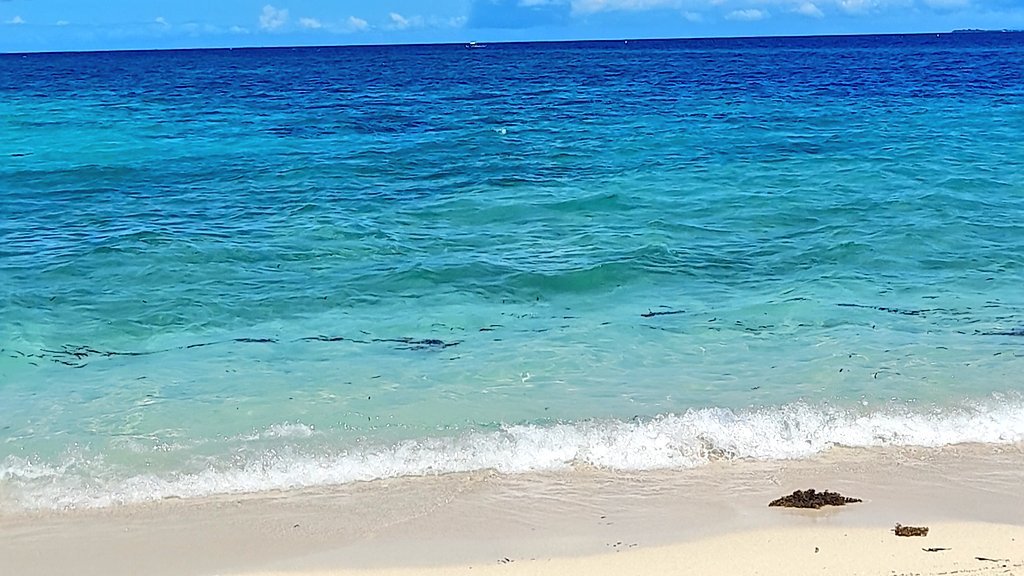 rly_bxhea⁷ ARSD 📌 tweet media