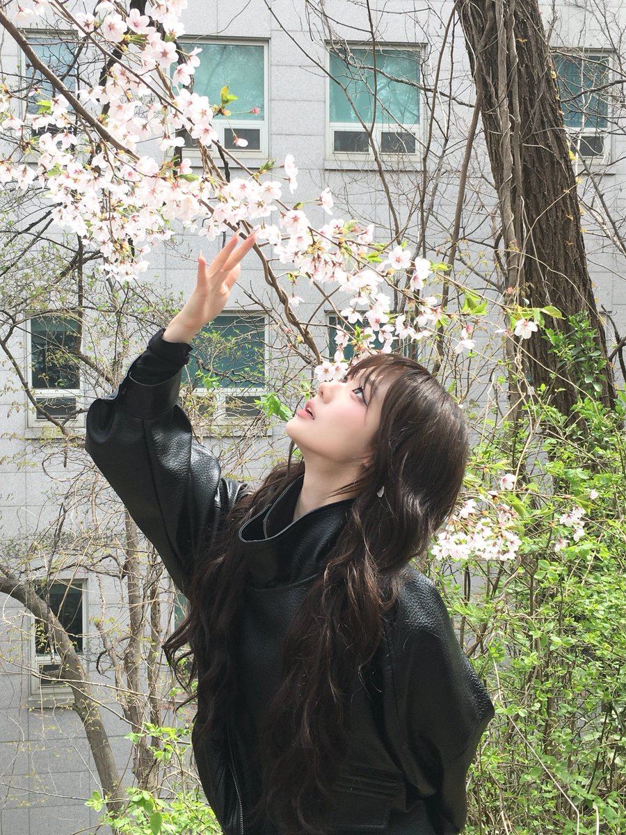 햄앤햄 tweet media