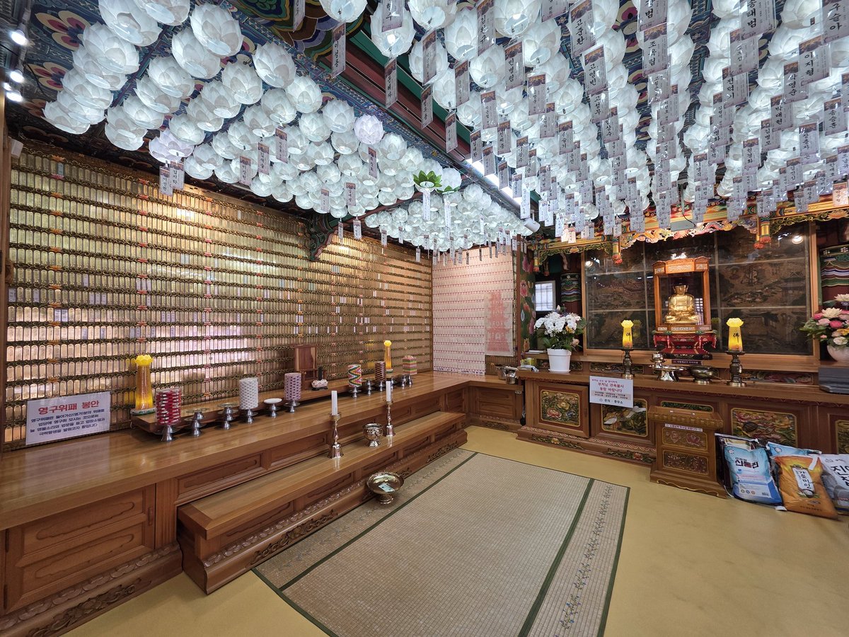 在韓シェフみのり🇰🇷 tweet media