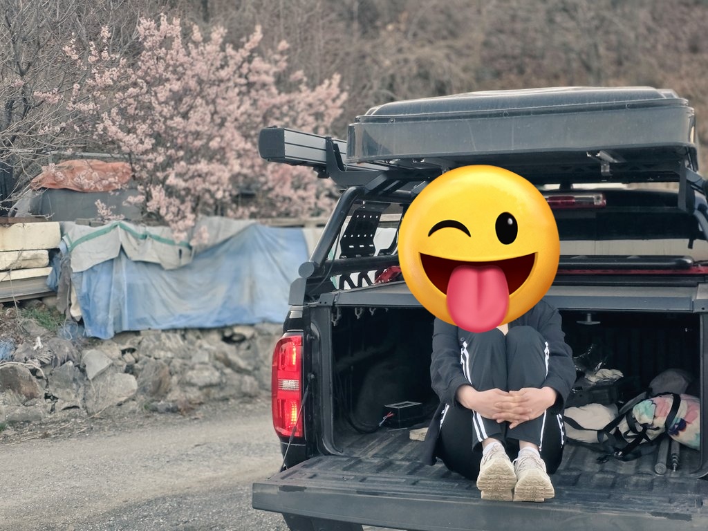 댕댕이주인님 tweet media