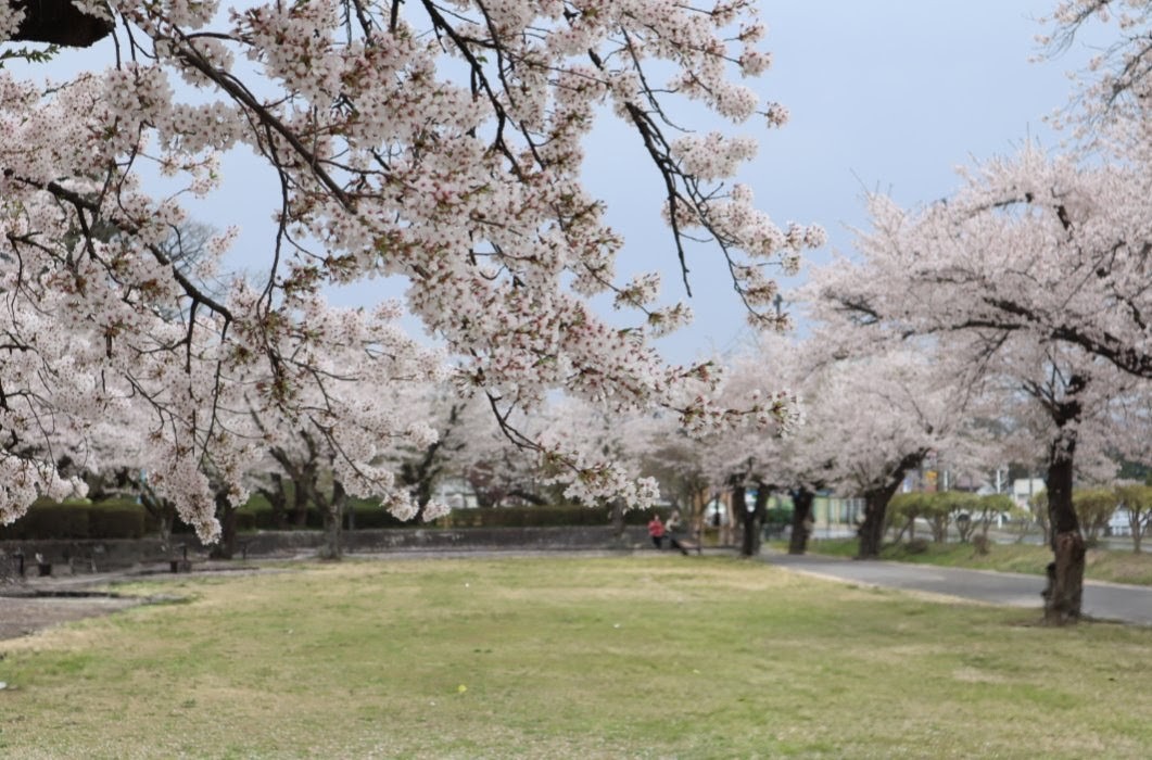 コスオール！（コスプレイベント）【公式】 tweet media