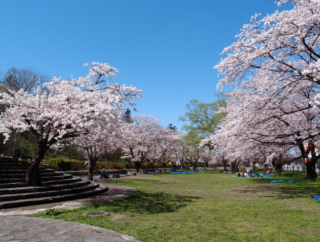 コスオール！（コスプレイベント）【公式】 tweet media