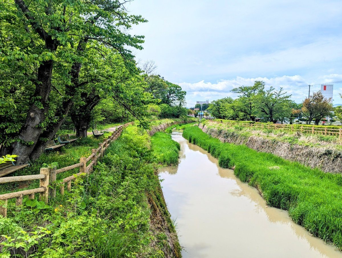コスオール！（コスプレイベント）【公式】 tweet media