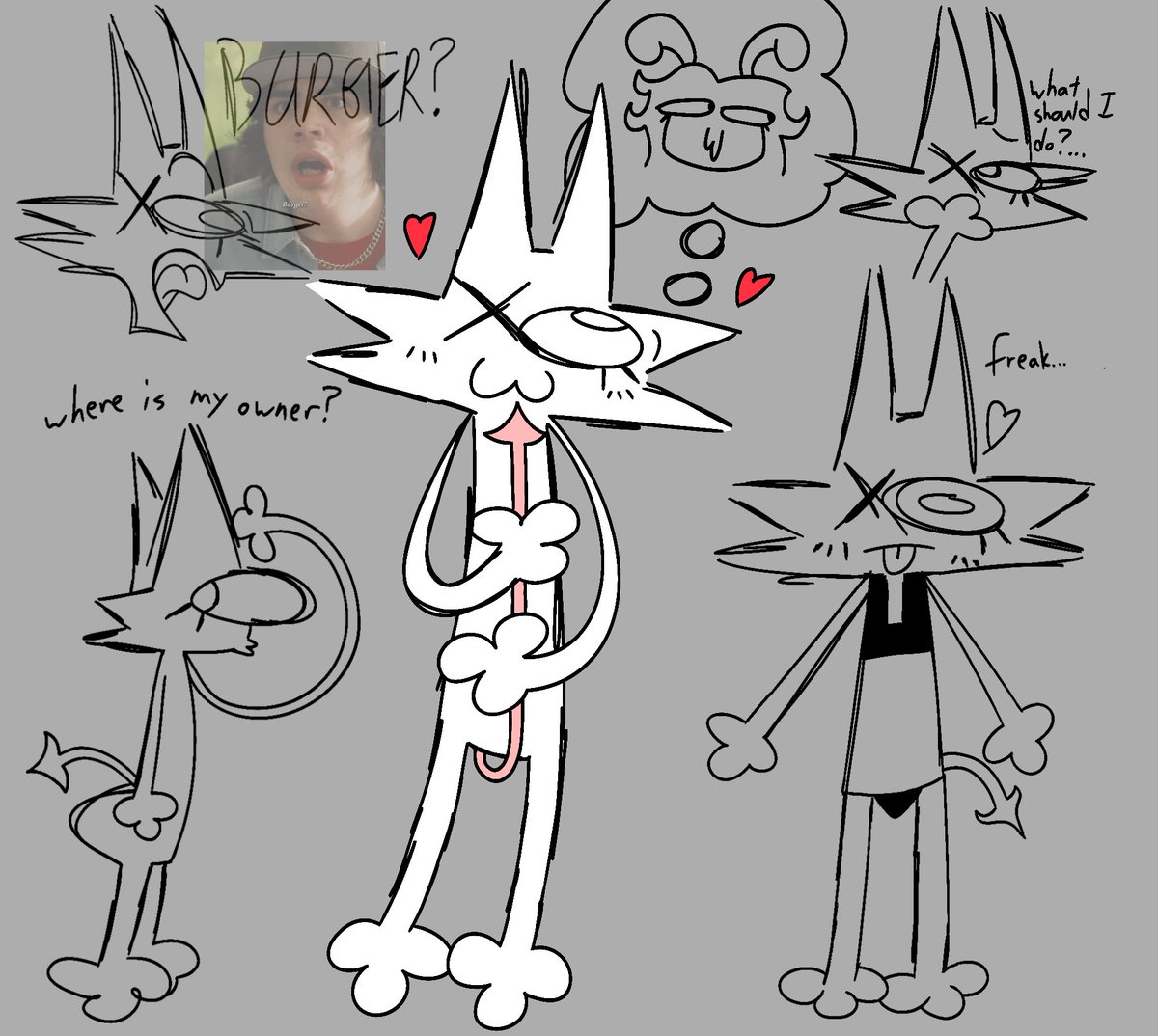 Jellykool tweet media