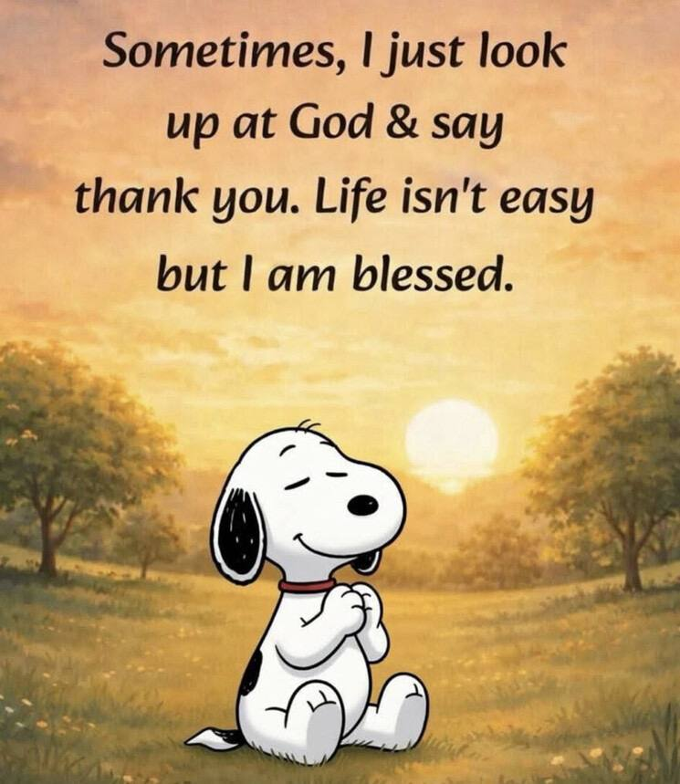 🇺🇸🇨🇿🇸🇪 PENNSYLVANIA IS TRUMP™ tweet media