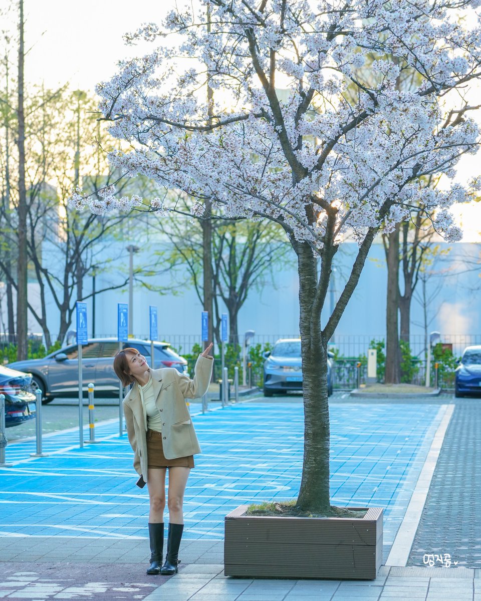 곰멍지 tweet media