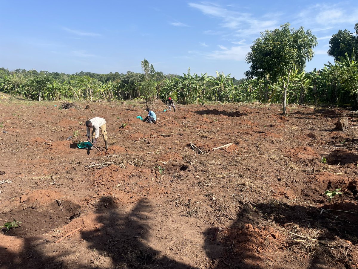 The Lie We Were Told About Farming

You grew up hearing it, didn’t you? Not just once but over and over again at home, at school even in casual conversations. “Read your books… so you don’t end up in the garden.” And without realizing it that statement slowly shaped how we all