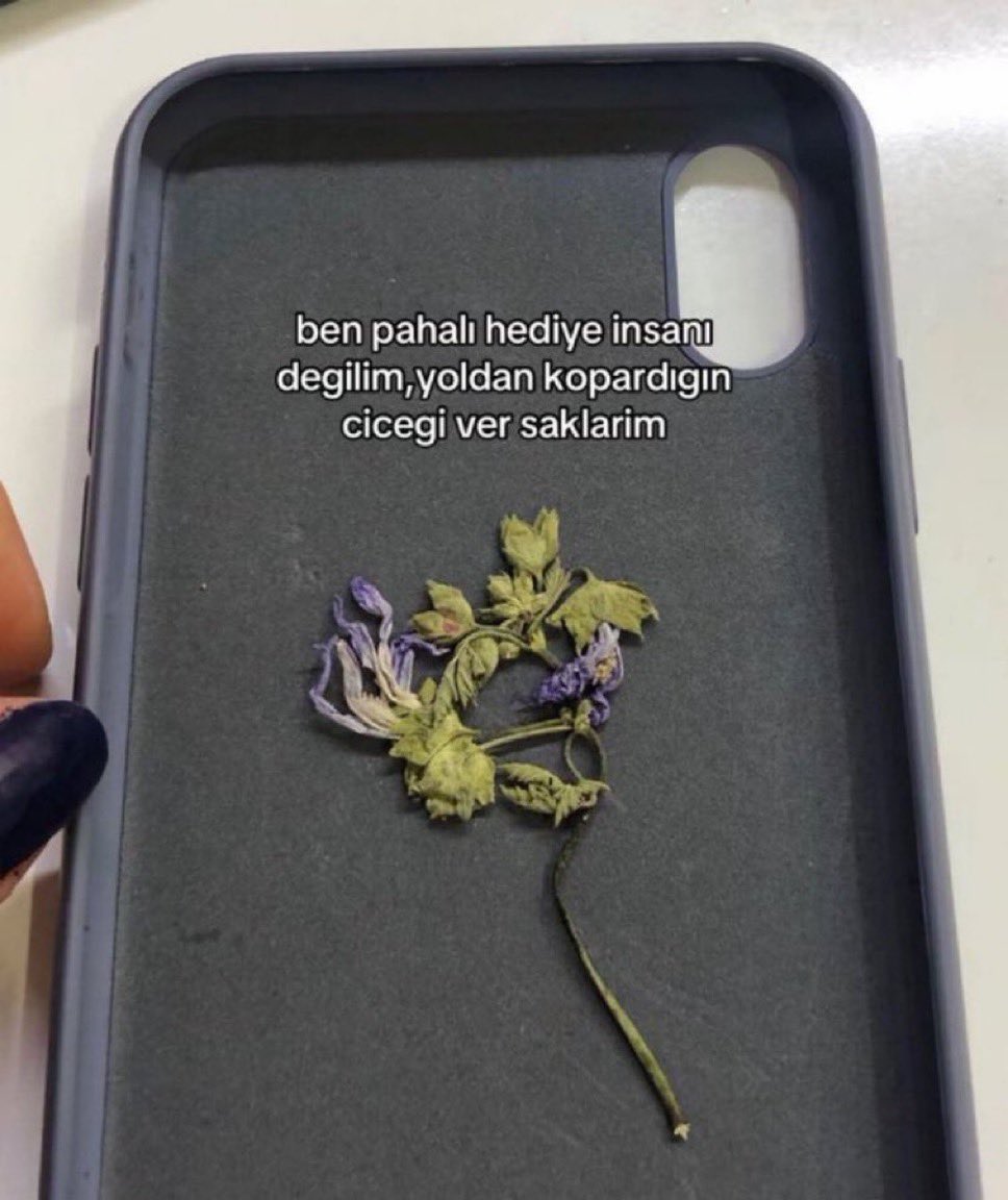 🦅乇丂几ㄩ尺 🪽🦅 tweet media