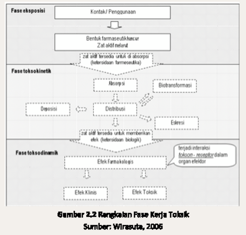 Derai Phalaenopsis tweet media