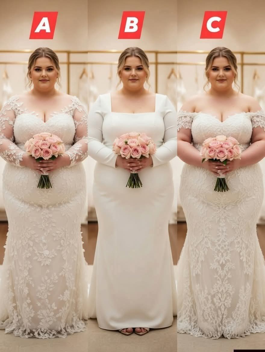 Lily Anderson 🇺🇸 tweet media