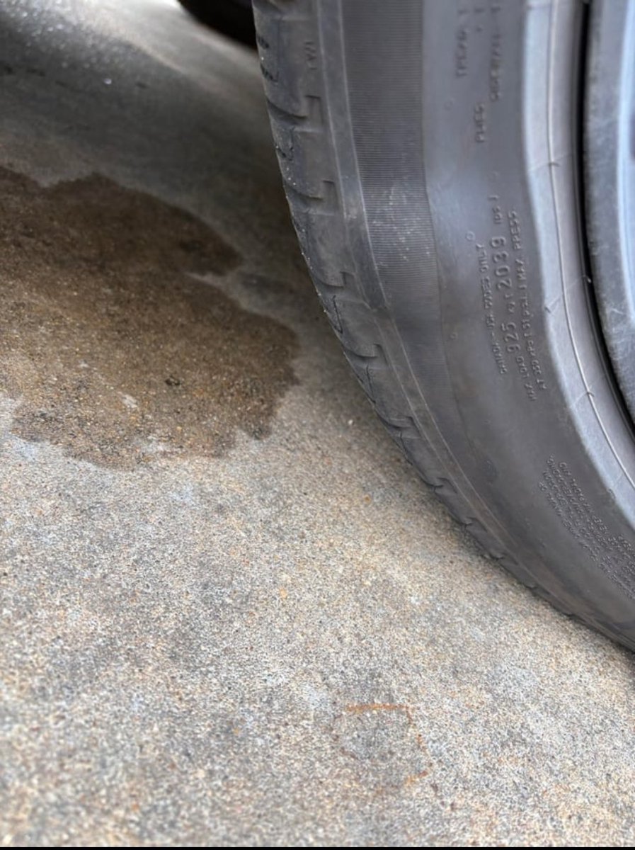 Mümkün tweet media