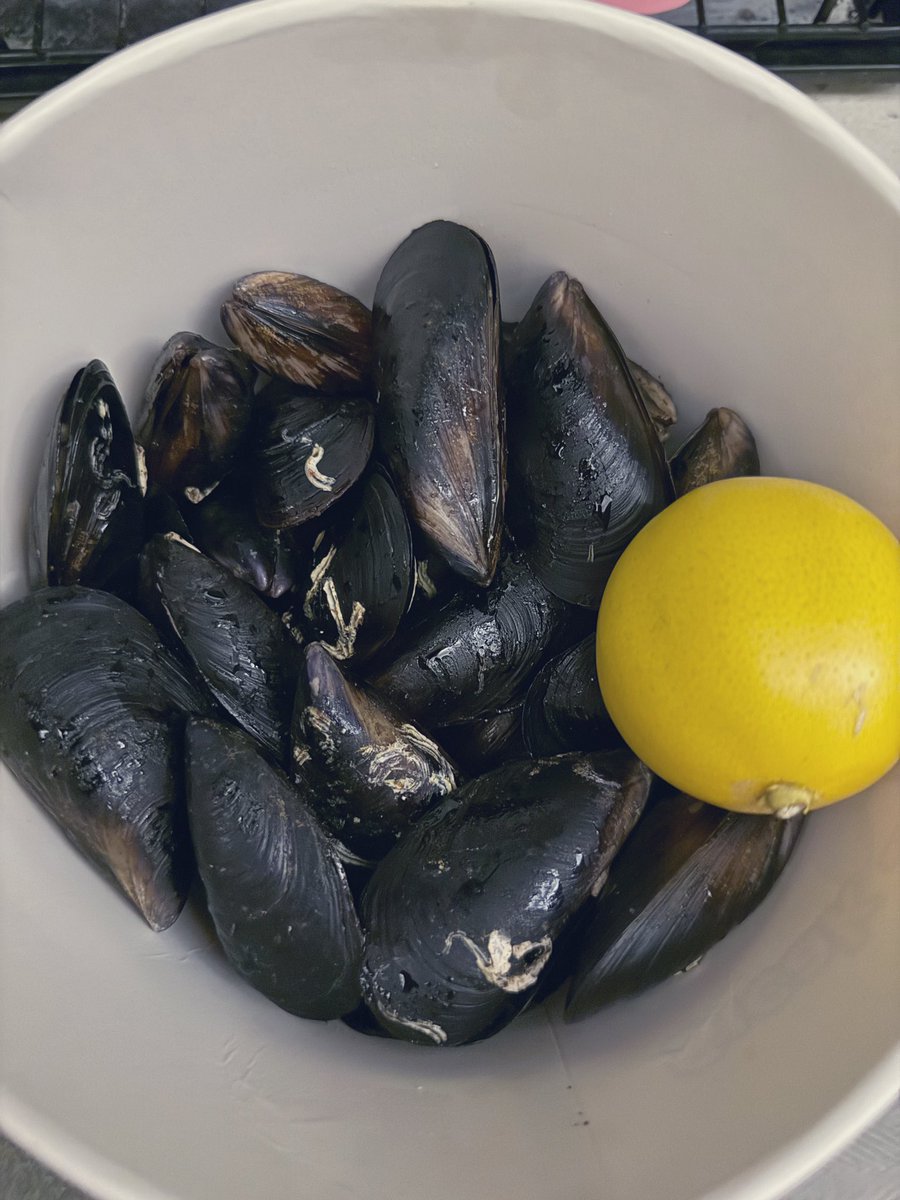 Dilan Su tweet media