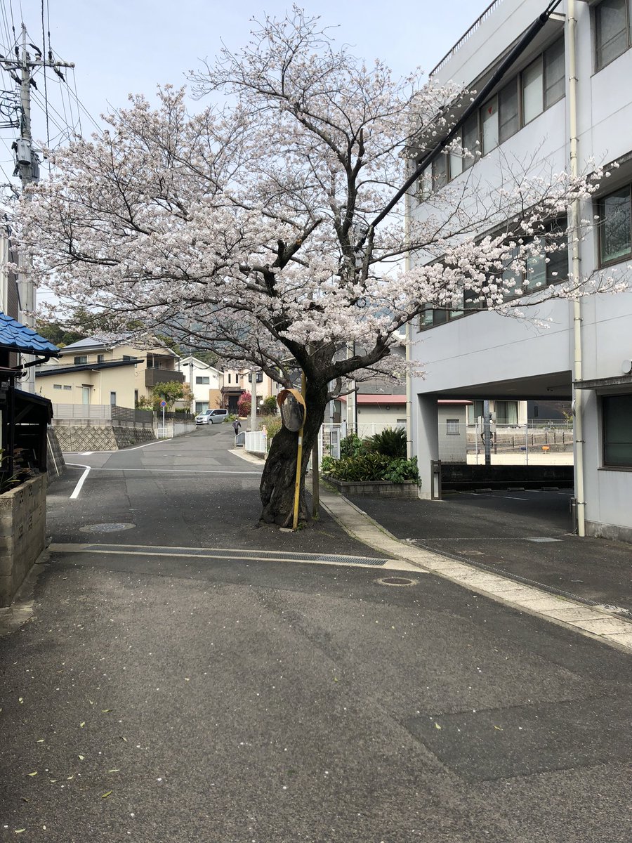 はねバド tweet media