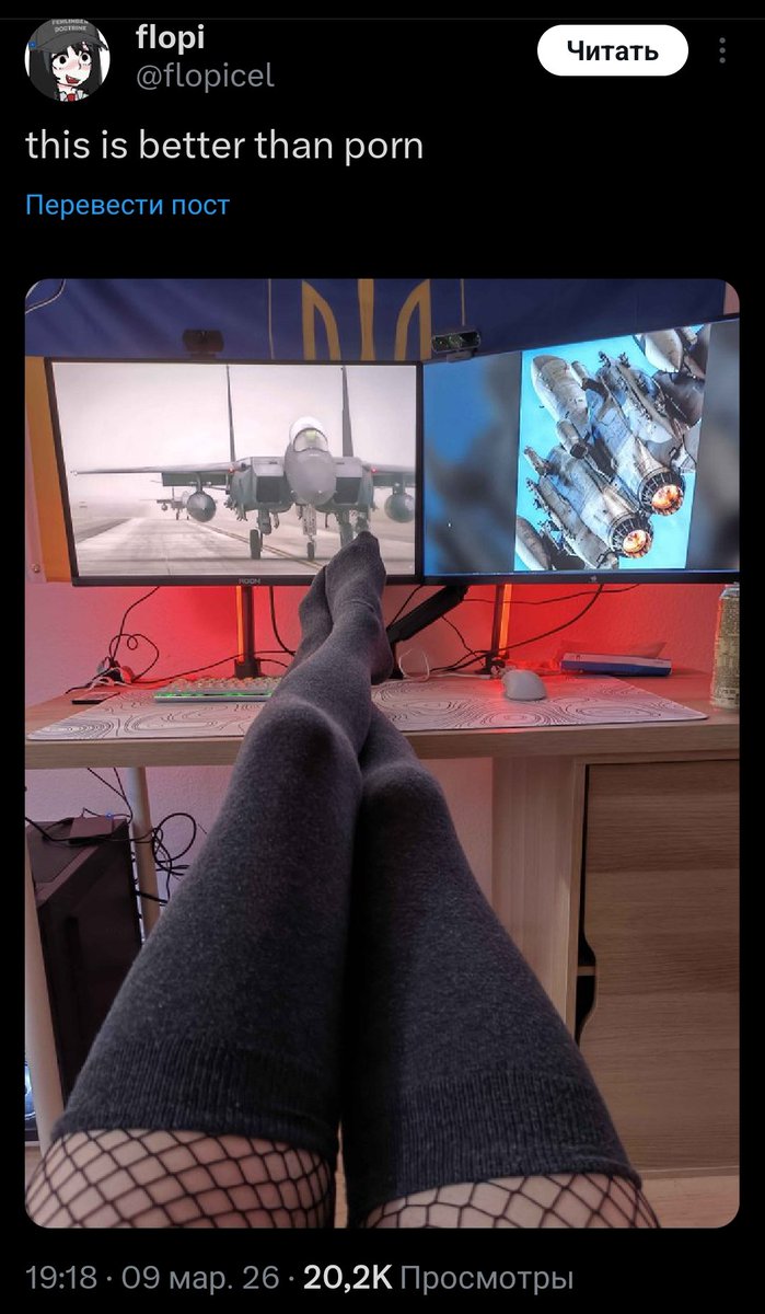 c o n p l i q u e tweet media