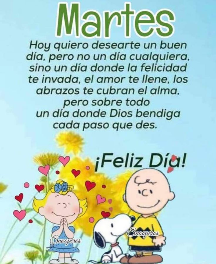 Aᥣᥱx Cᥲstro Cᥲbrᥱrᥲ tweet media