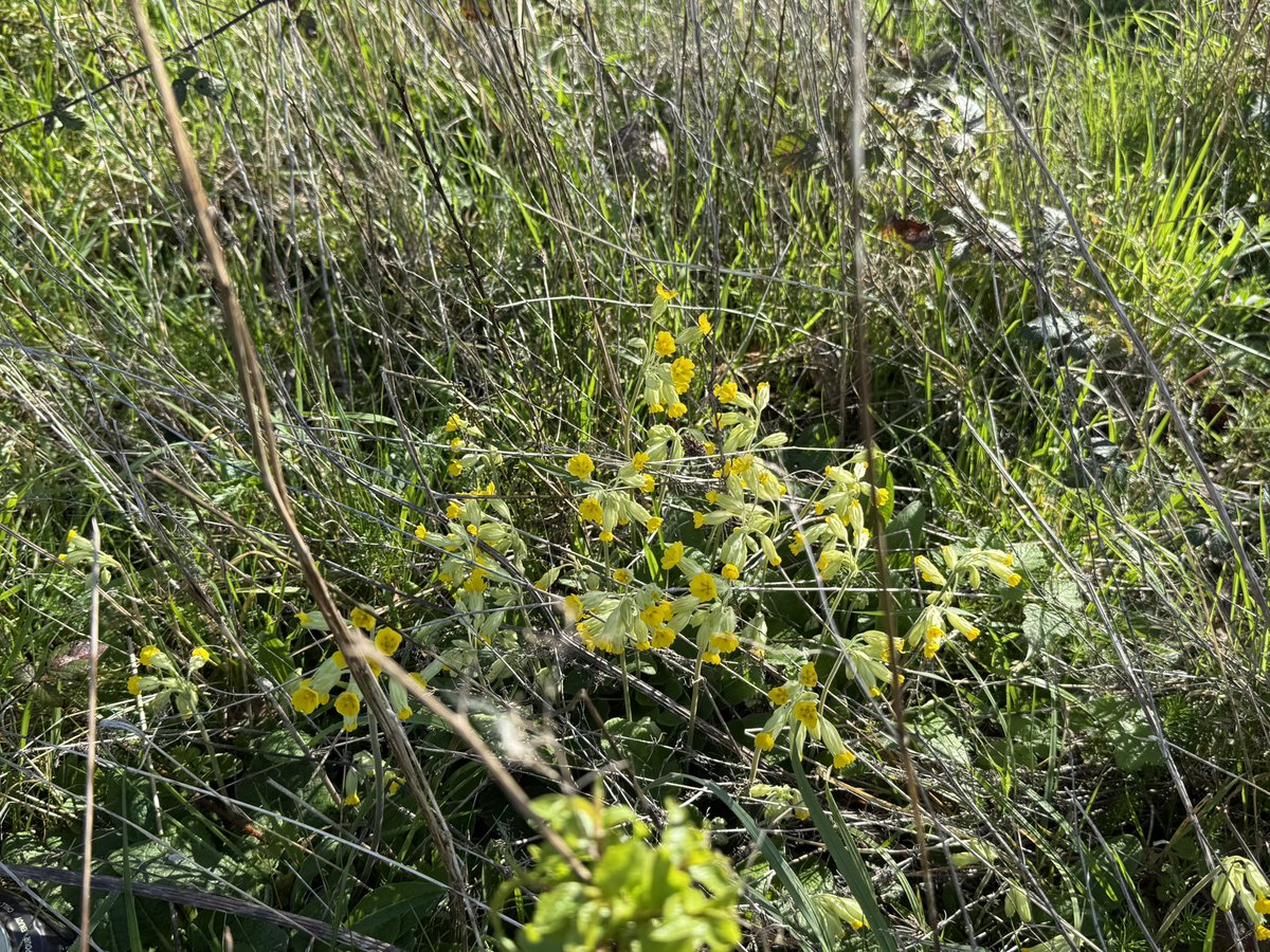 Ann Brooks 💙 tweet media