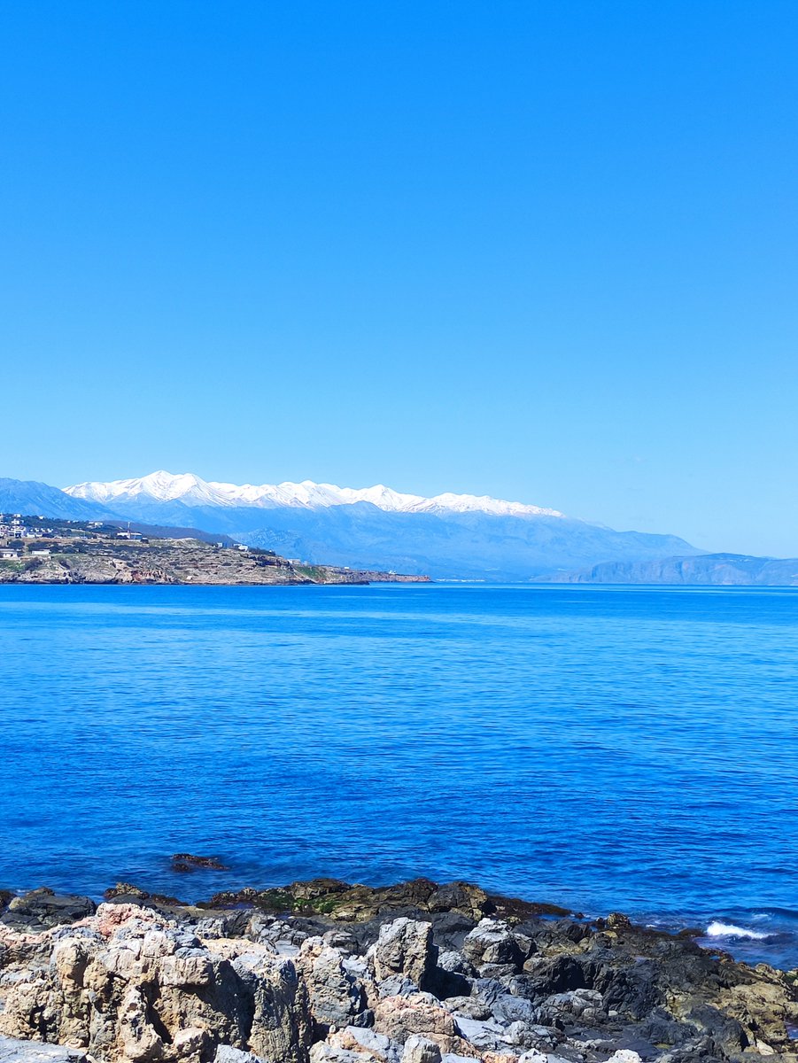 Traveller tweet media