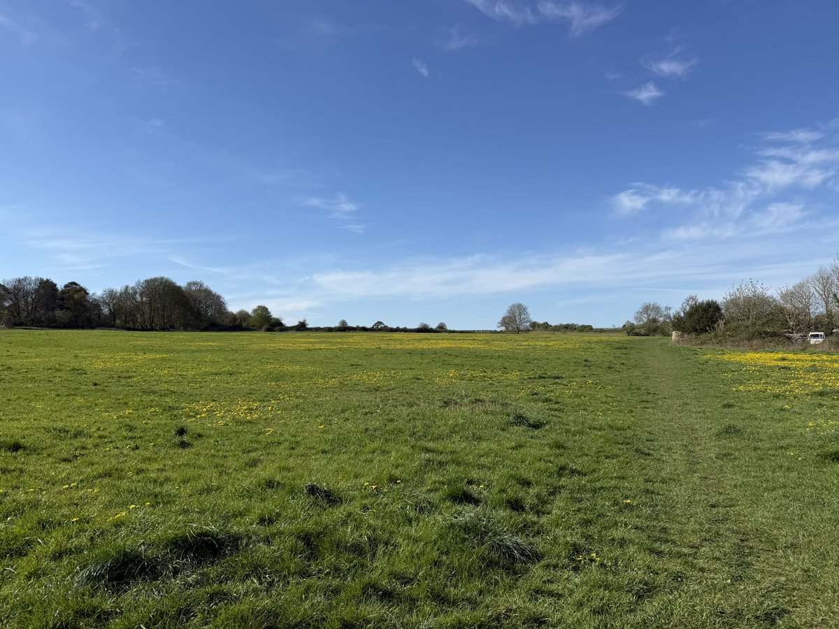 Ann Brooks 💙 tweet media