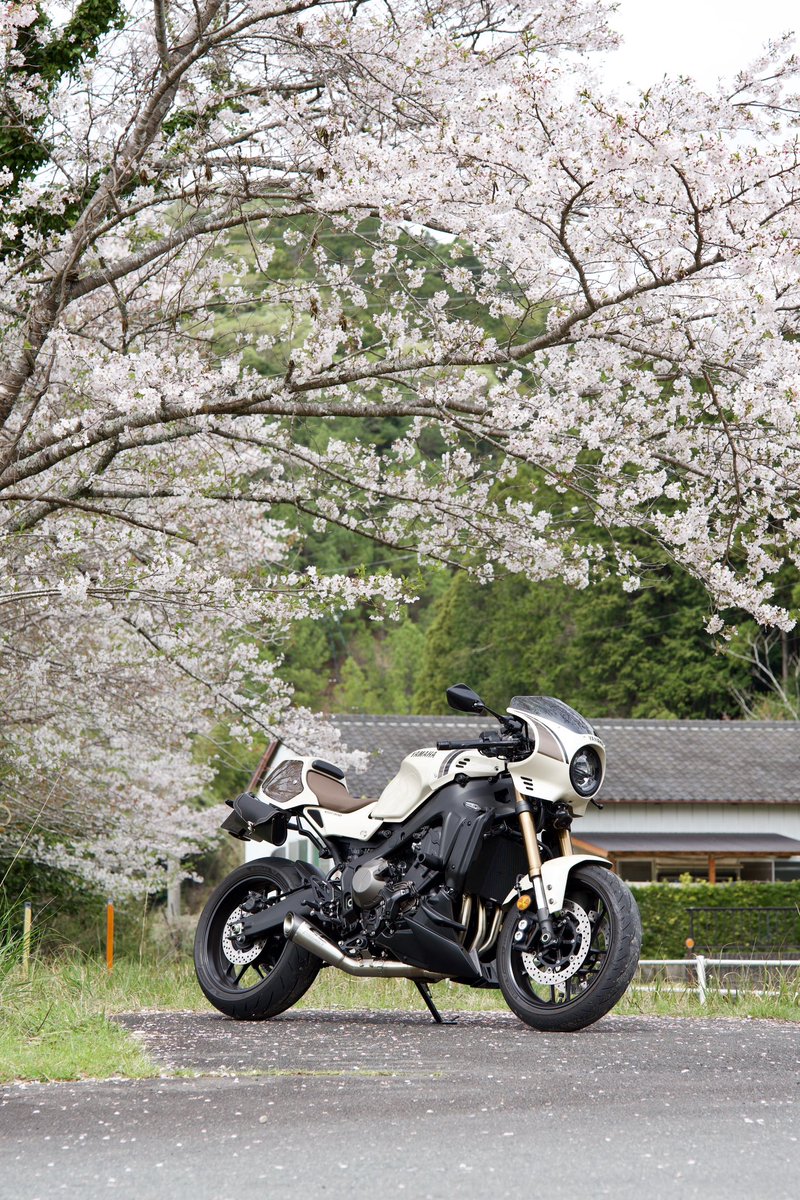 なお tweet media