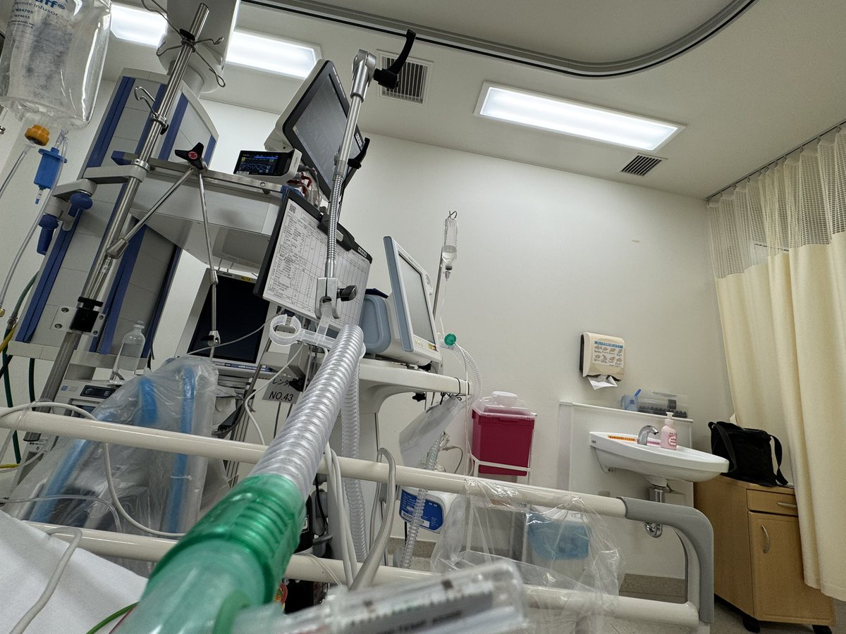 TAKAYA꒰ঌ★໒꒱ tweet media