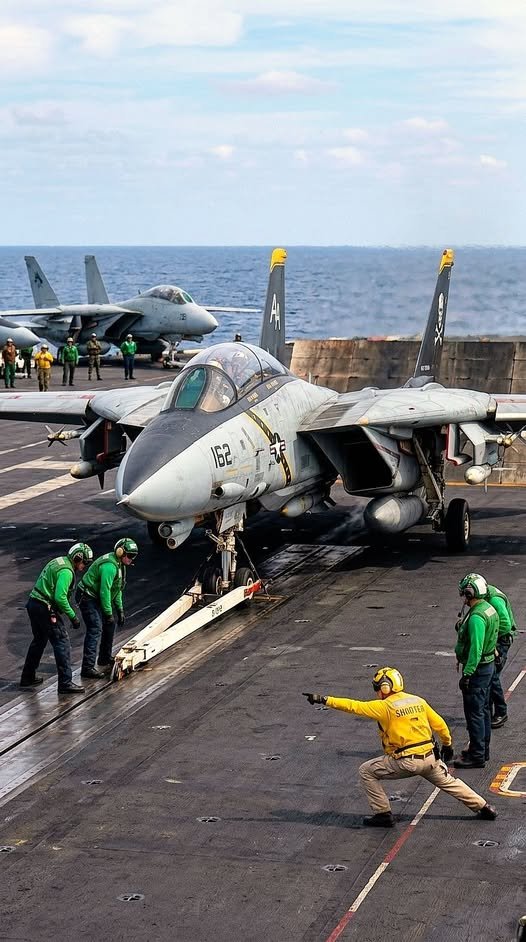 TOMCATCO tweet media