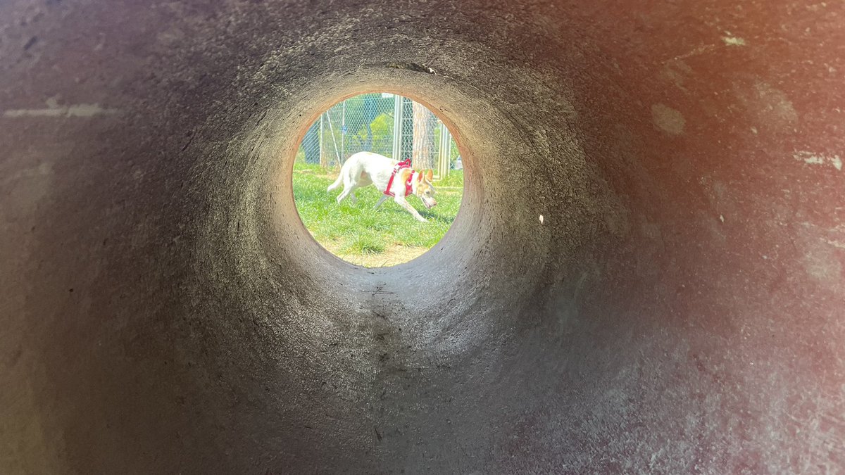 Stefano Piccioni tweet media