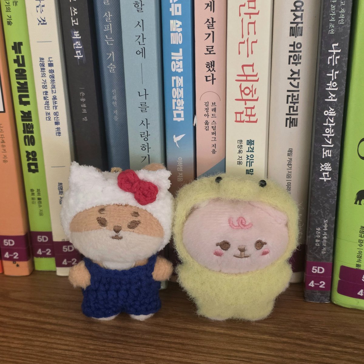찌 tweet media