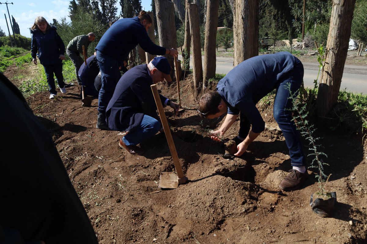 BFCyprus tweet media